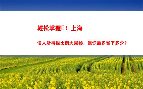 個人所得稅朝陽(個人所得稅扣多少)